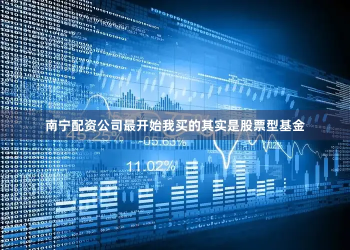 南宁配资公司最开始我买的其实是股票型基金