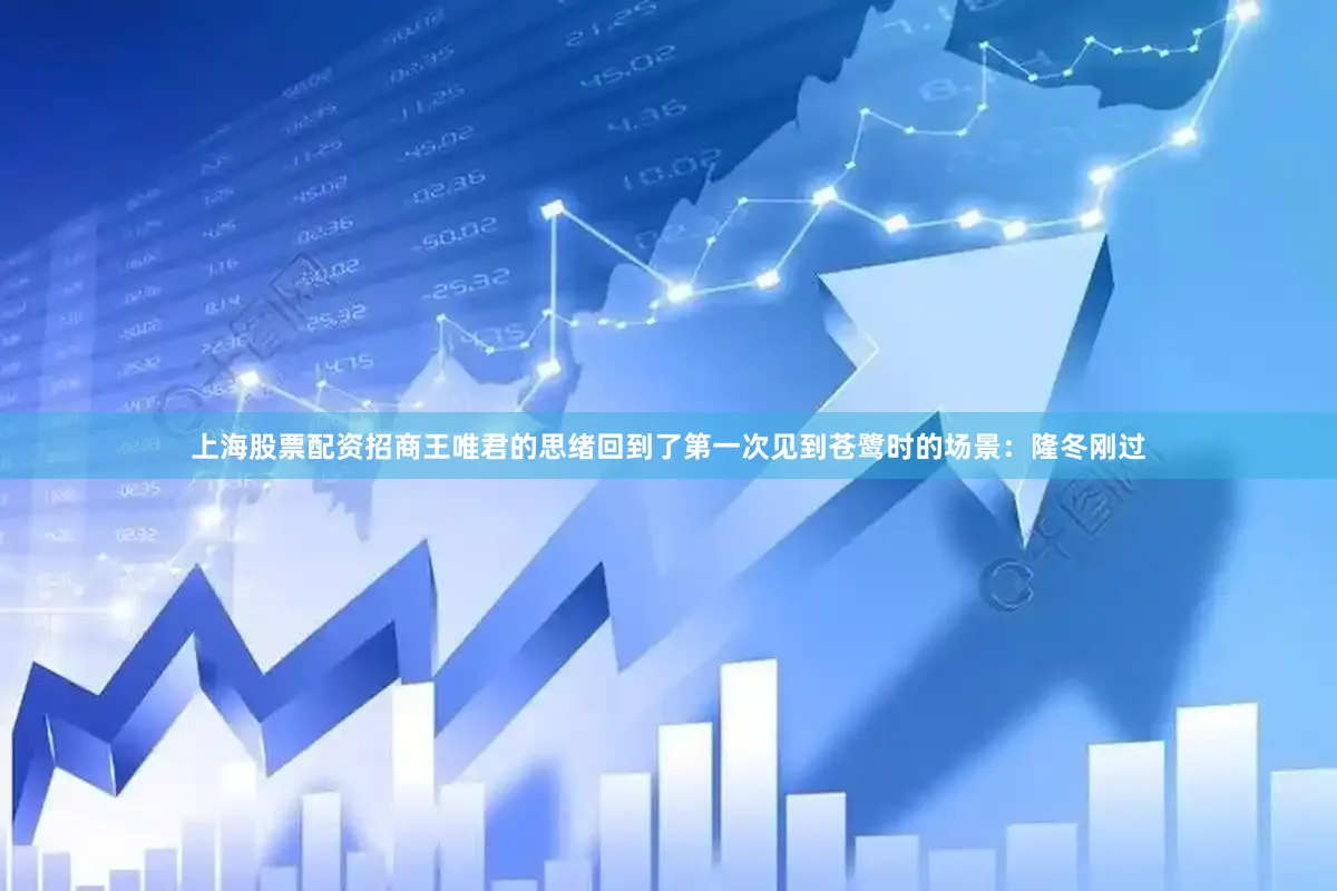 上海股票配资招商王唯君的思绪回到了第一次见到苍鹭时的场景：隆冬刚过
